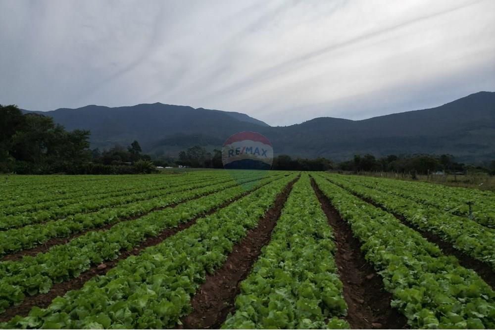 Terreno - Venda - Terra de Areia , Rio Grande do Sul - 74e68973-9b5b-47e6-8cae-cba5e9de4507.jpg - 612671028-46
