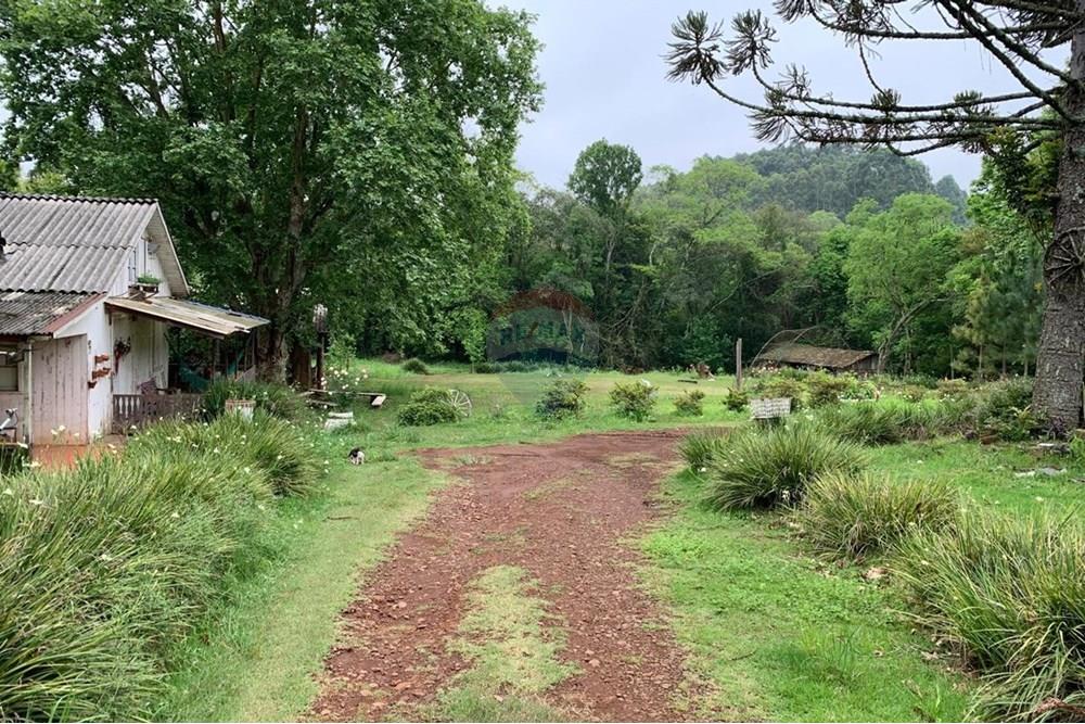 Chácara / Sítio / Fazenda - Venda - Sarandi , Rio Grande do Sul - WhatsApp Image 2025-07-03 at 11.19.38 (2).jpeg - 610341006-382