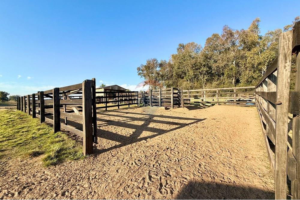 Chácara / Sítio / Fazenda - Venda - São Gabriel , Rio Grande do Sul - 7b8a3ffb-2404-4b38-be5c-72c664c233f5.jpeg - 612631037-9