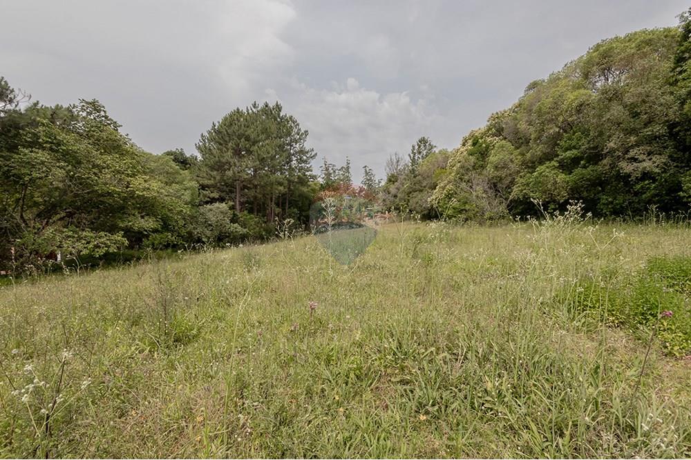 Terreno - Venda - Porto Alegre , Rio Grande do Sul - 0805-272 (16).jpg - 612521075-18