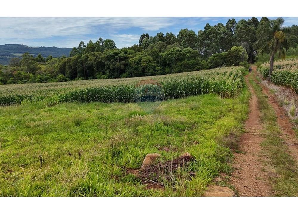 Chácara / Sítio / Fazenda - Venda - Gramado , Rio Grande do Sul - WhatsApp Image 2026-02-24 at 16.26.07 (6).jpeg - 610131034-44