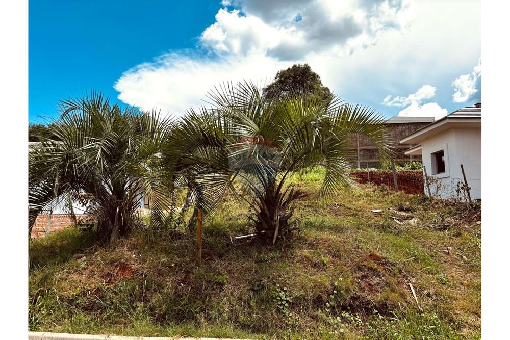 Terreno - Venda - Carazinho , Rio Grande do Sul - WhatsApp Image 2025-02-11 at 11.26.11.jpeg - 612701046-6