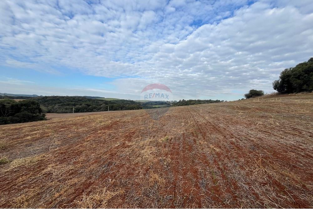 Fazenda - Venda - Lagoa Vermelha , Rio Grande do Sul - IMG_2531.JPG - 610111017-1