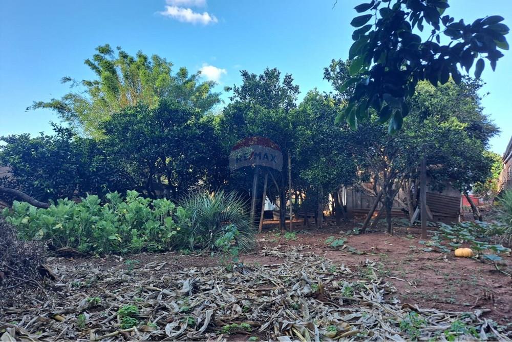 Casa - Venda - Passo Fundo , Rio Grande do Sul - WhatsApp Image 2026-01-21 at 20.43.47.jpeg - 610271103-17