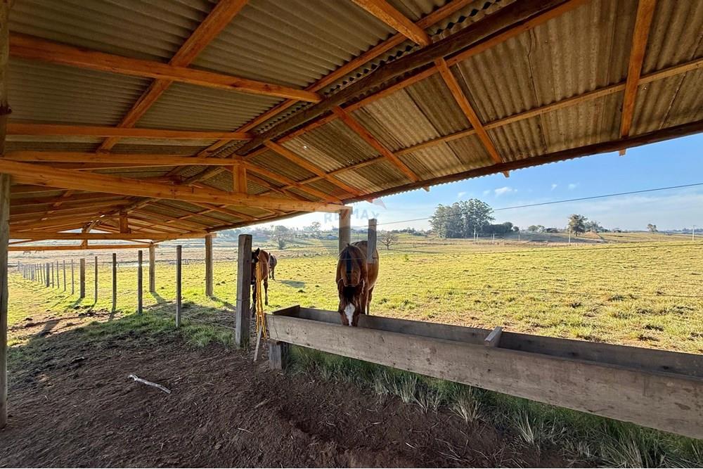 Chácara / Sítio / Fazenda - Venda - São Gabriel , Rio Grande do Sul - 3b7b13dc-69e2-4f44-b6f6-80e4175a54bf.jpeg - 612631037-9