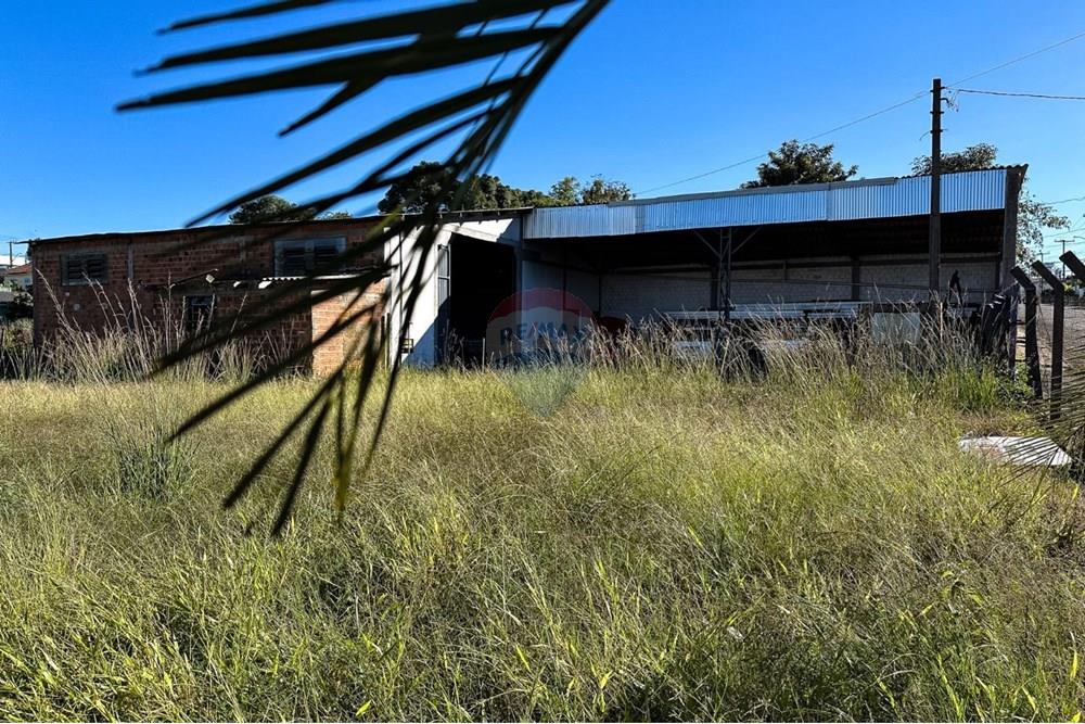 Terreno - Venda - Lagoa Vermelha , Rio Grande do Sul - WhatsApp Image 2025-05-20 at 09.47.05 (2).jpeg - 610111005-239