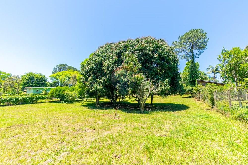 Chácara / Sítio / Fazenda - Venda - Gravataí , Rio Grande do Sul - LRP 18.jpg - 612551082-7