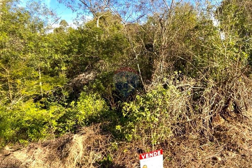 Terreno - Venda - Guaíba , Rio Grande do Sul - Imagem do WhatsApp de 2025-08-28 à(s) 16.10.23_9d5b74ad.jpg - 612781019-11