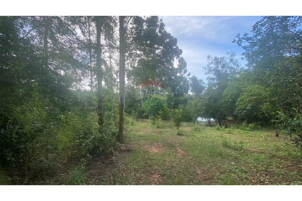 Chácara / Sítio / Fazenda - Venda - Rio Pardo , Rio Grande do Sul - IMG_5702.jpeg - 612741002-49