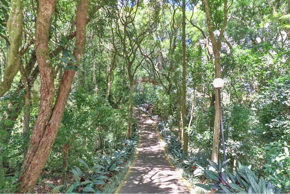 Apartamento - Venda - Porto Alegre , Rio Grande do Sul - 39.jpg - 610191042-221