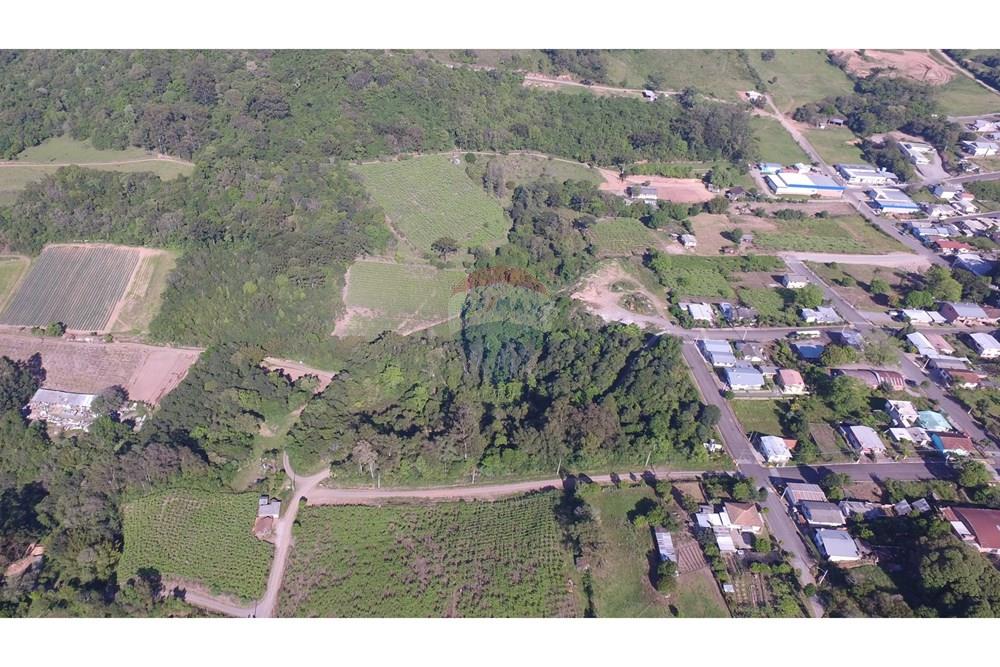 Terreno - Venda - Nova Pádua , Rio Grande do Sul - DJI_00661.jpg - 612551039-219