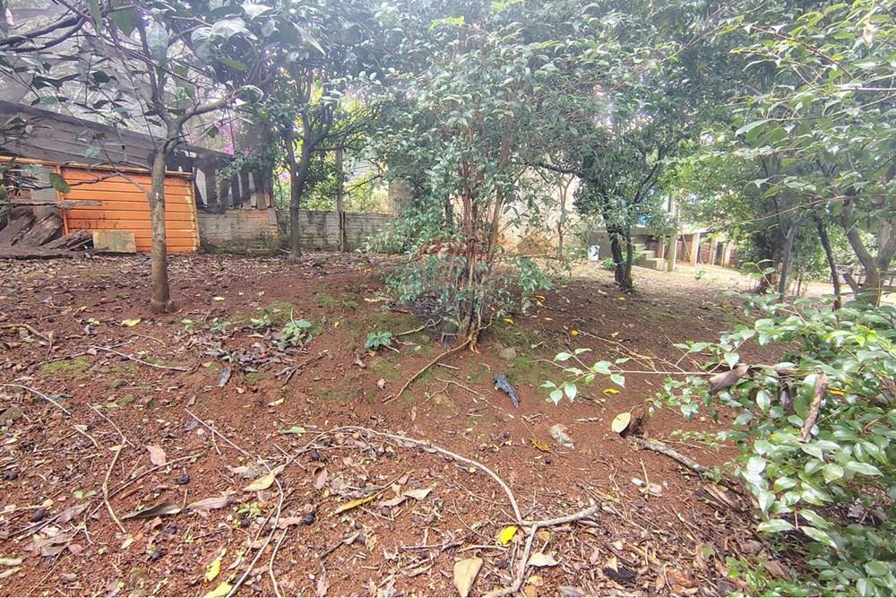 Terreno - Venda - Ronda Alta , Rio Grande do Sul - WhatsApp Image 2026-03-09 at 15.14.35.jpeg - 610231034-33