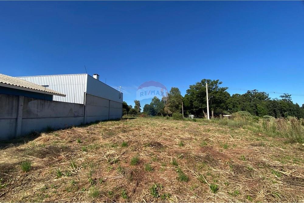 Terreno - Venda - Passo Fundo , Rio Grande do Sul - WhatsApp Image 2026-02-13 at 15.24.11.jpeg - 610271094-26