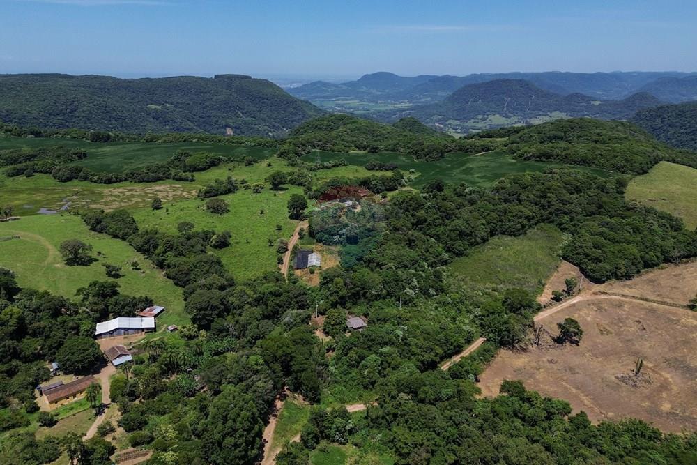 Chácara / Sítio / Fazenda - Venda - Silveira Martins , Rio Grande do Sul - DJI_0812.jpg - 610311058-39