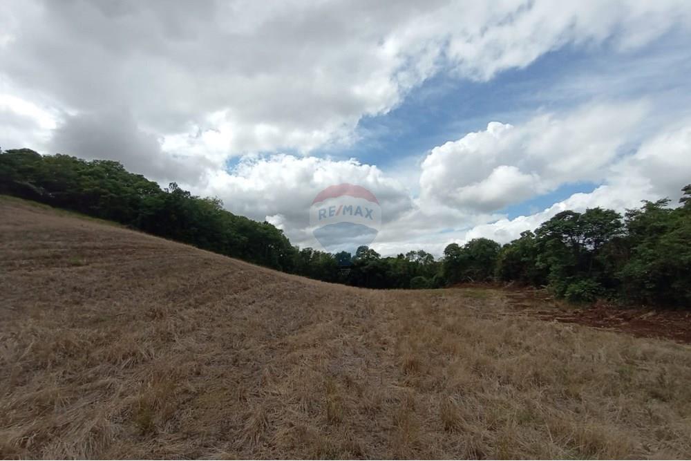 Chácara / Sítio / Fazenda - Venda - Sarandi , Rio Grande do Sul - WhatsApp Image 2025-11-26 at 16.01.40 (5).jpeg - 610341020-16