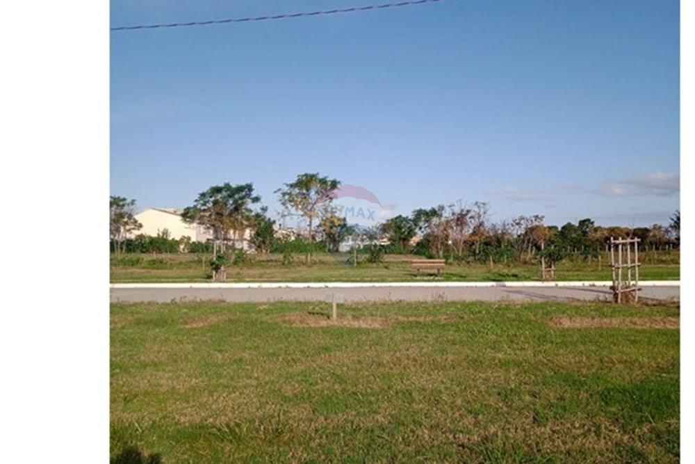 Terreno - Venda - Pelotas , Rio Grande do Sul - WhatsApp Image 2024-09-21 at 11.25.18 (1).jpeg - Quintal - 610211061-2