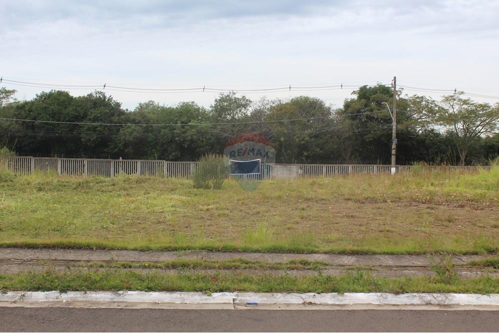 Terreno - Venda - Gravataí , Rio Grande do Sul - IMG_3919.JPG - 610161057-54