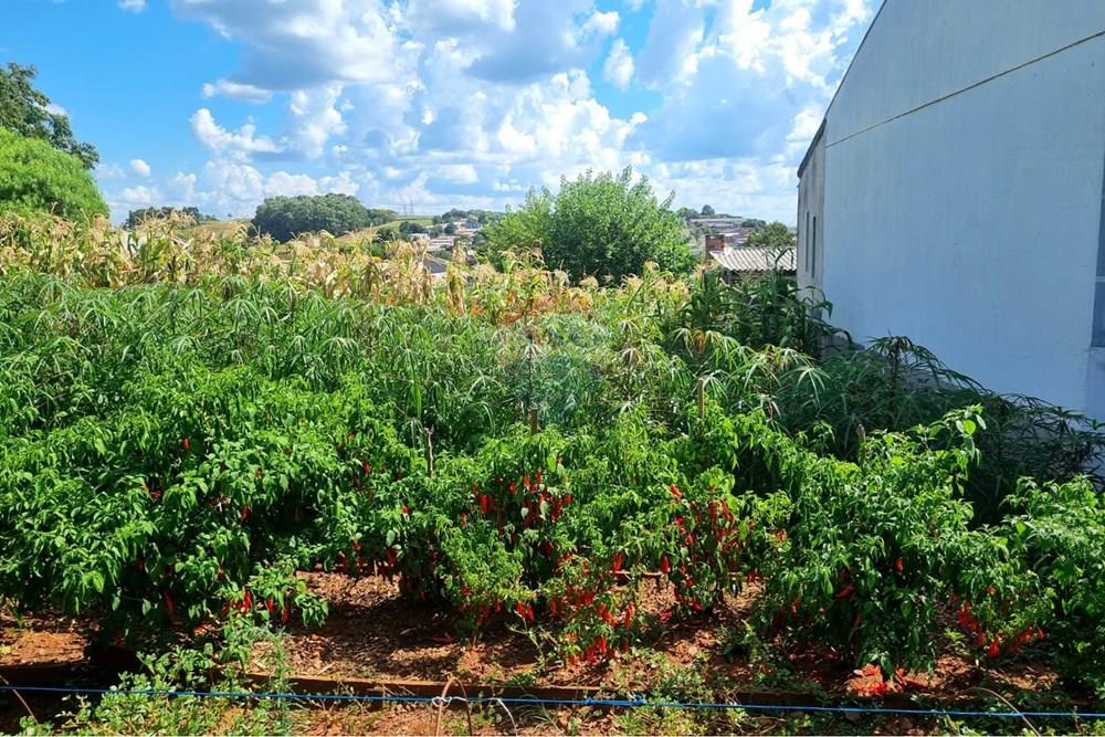 Terreno - Venda - Passo Fundo , Rio Grande do Sul - 9a95b0f6-3a7b-4692-94c9-f9e2e1dbe06e.jpeg - 610351071-53