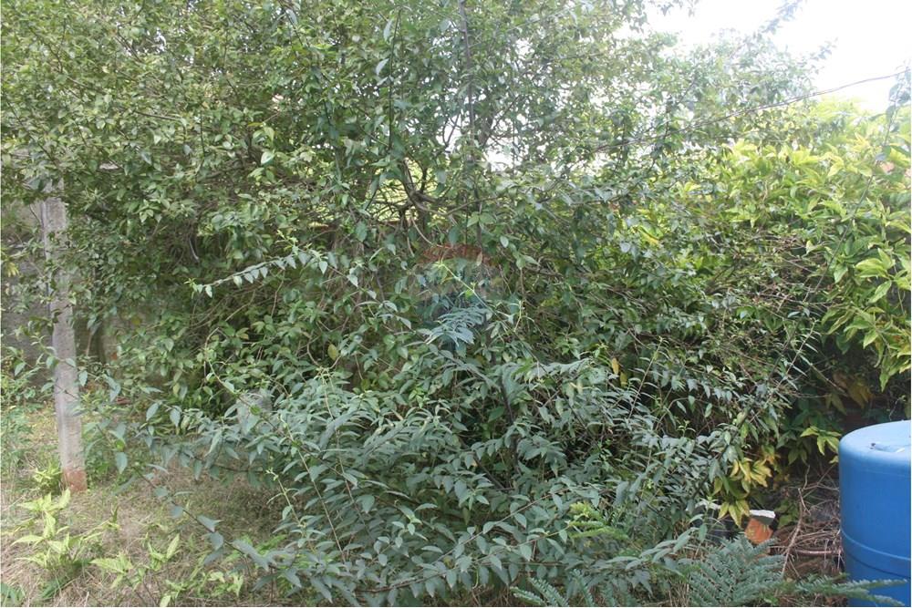 Terreno - Venda - Cachoeirinha , Rio Grande do Sul - IMG_4768.JPG - 612551022-106