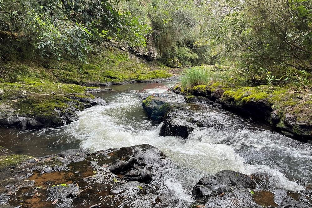 Chácara / Sítio / Fazenda - Venda - Lagoa Vermelha , Rio Grande do Sul - IMG_4214.jpg - 610111017-6