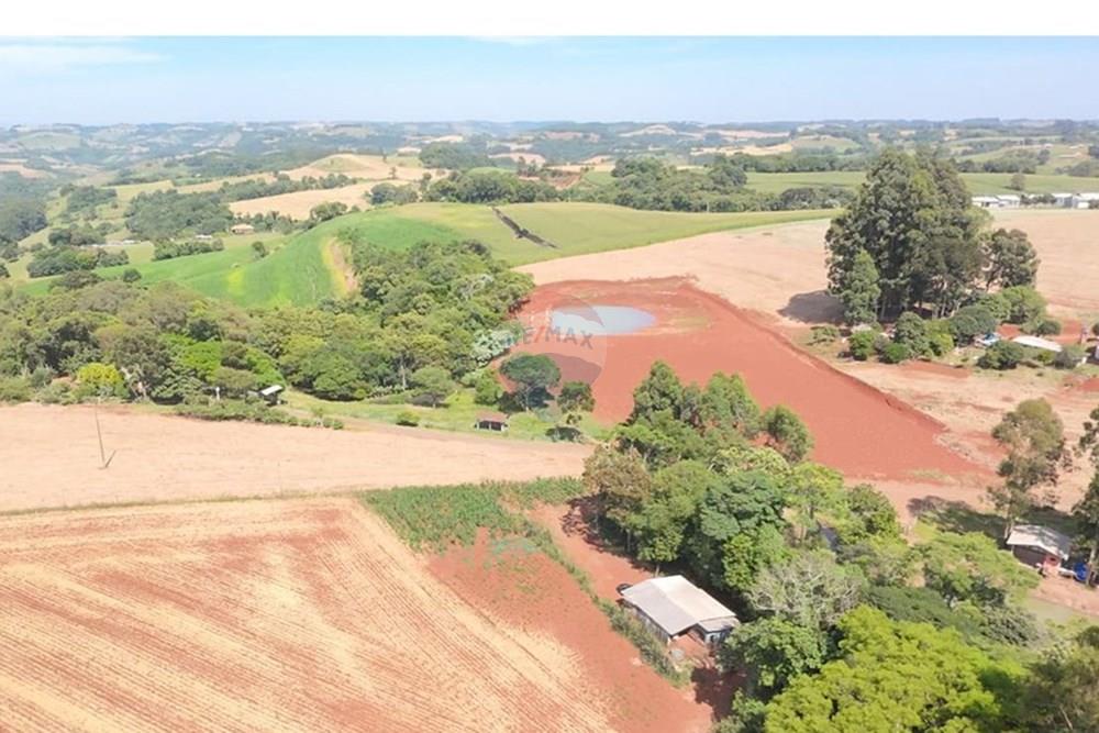 Chácara / Sítio / Fazenda - Venda - Três Palmeiras , Rio Grande do Sul - IMG-20251129-WA0006.jpg - 610231029-134