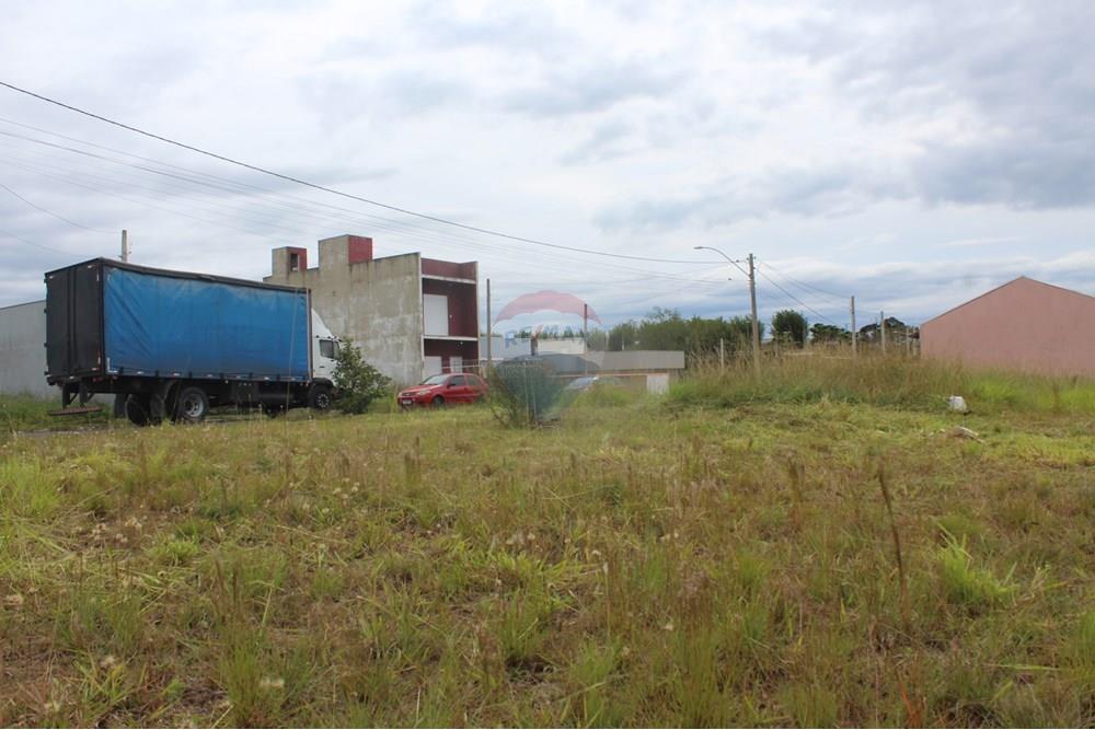 Terreno - Venda - Gravataí , Rio Grande do Sul - IMG_3924.JPG - 610161057-54