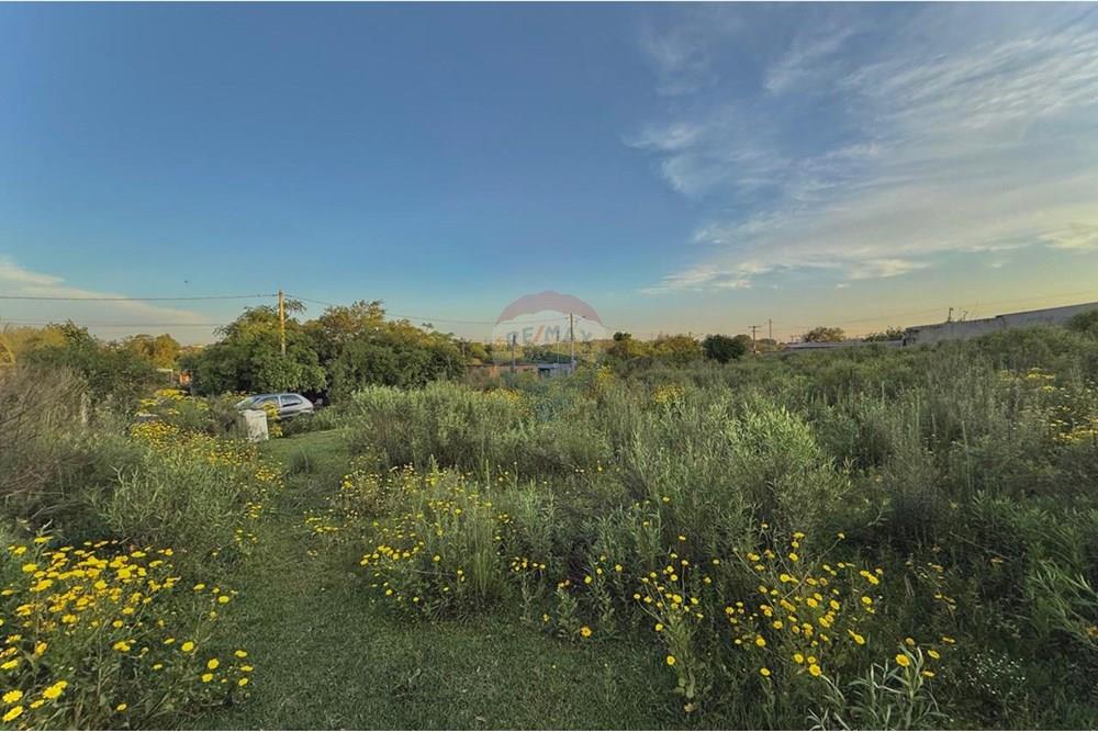 Terreno - Venda - São Gabriel , Rio Grande do Sul - WhatsApp Image 2025-10-24 at 10.48.30.jpeg - 612631001-66