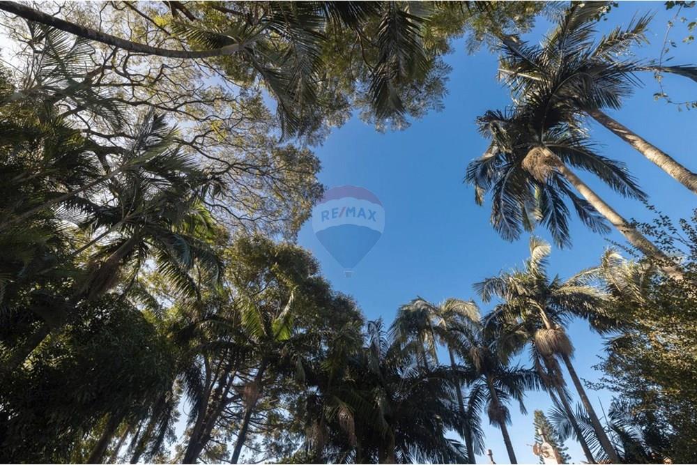 Casa - Venda - Santa Maria , Rio Grande do Sul - WhatsApp Image 2025-11-13 at 10.13.29.jpeg - 610311134-14