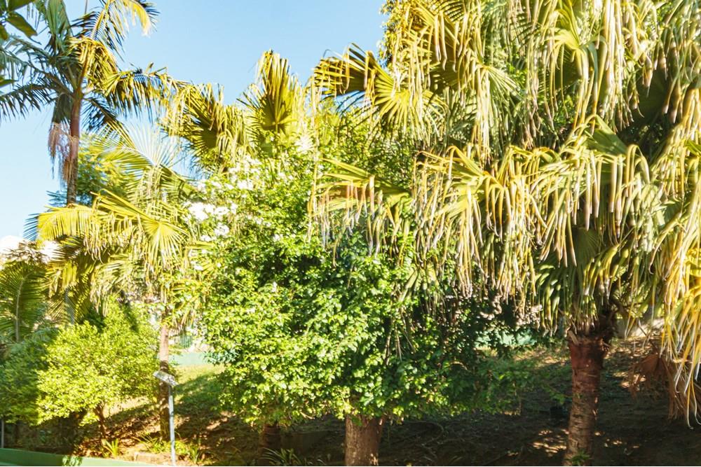 Apartamento - Venda - Porto Alegre , Rio Grande do Sul - IMG_8693.jpg - 612511074-48