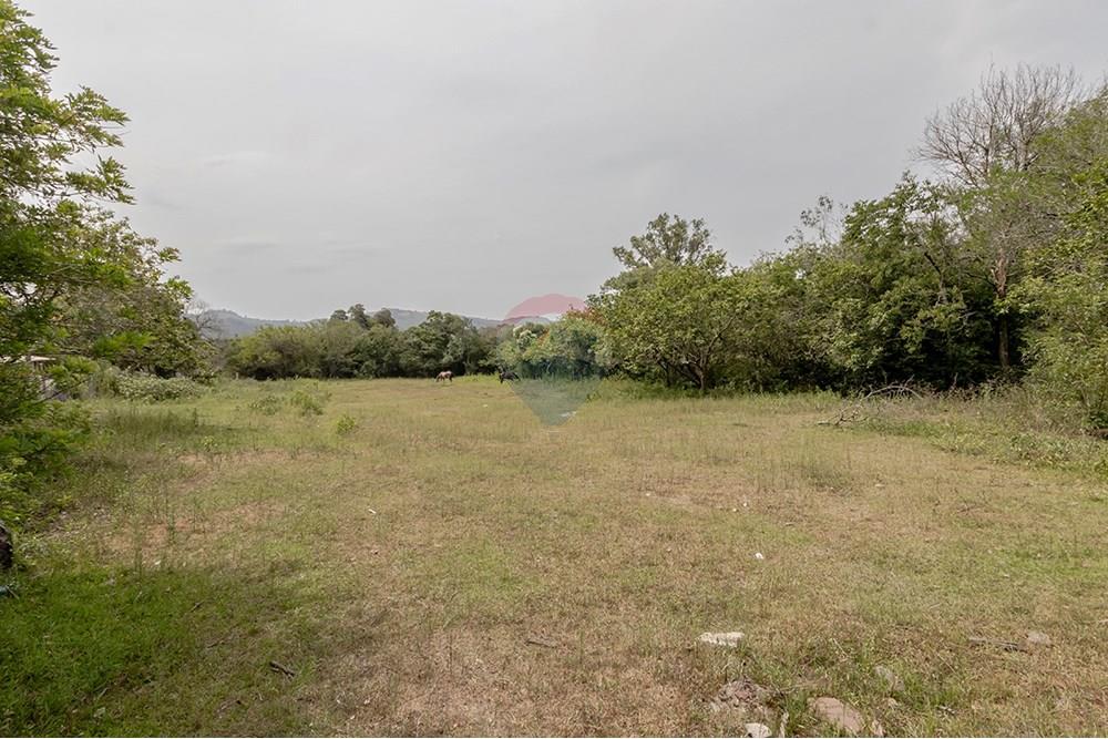 Terreno - Venda - Porto Alegre , Rio Grande do Sul - 0805-272 (4).jpg - 612521075-18