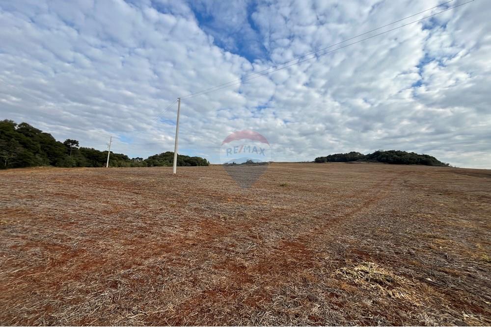 Fazenda - Venda - Lagoa Vermelha , Rio Grande do Sul - IMG_2527.JPG - 610111017-1