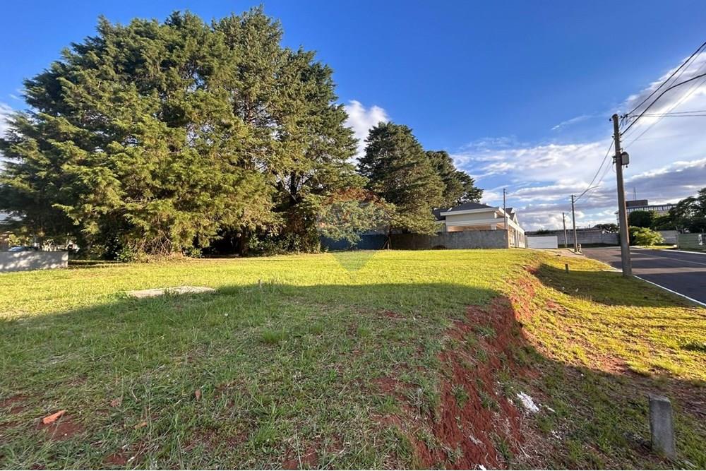 Terreno - Venda - Passo Fundo , Rio Grande do Sul - WhatsApp Image 2025-12-09 at 07.43.30.jpeg - 610271050-104