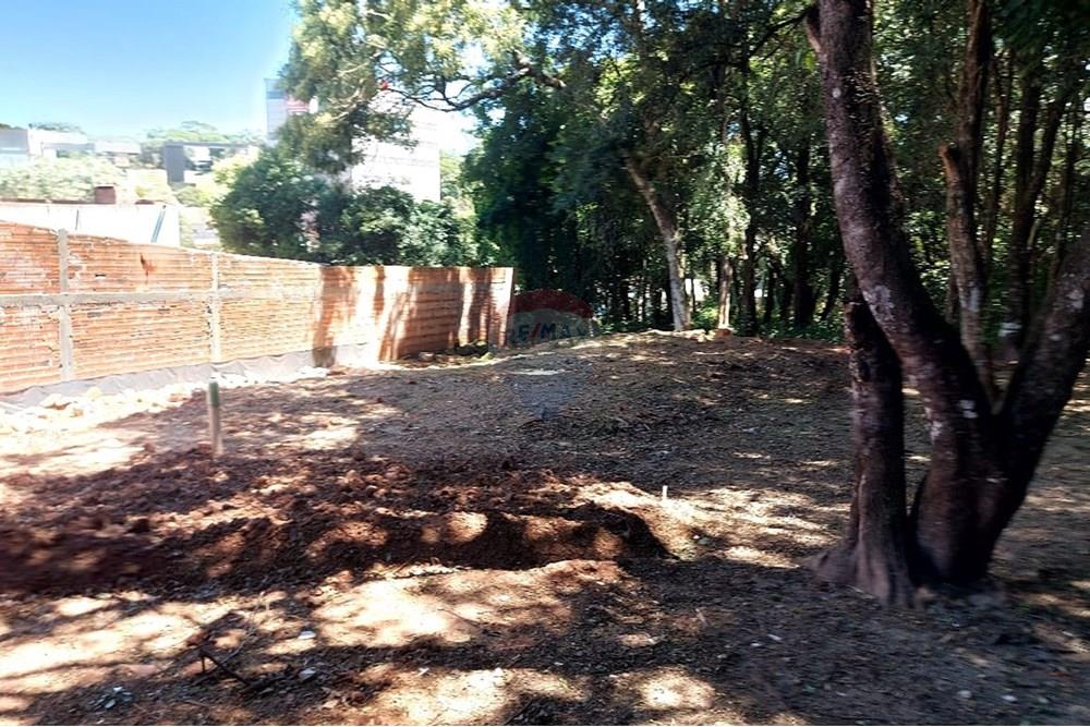 Terreno - Venda - Passo Fundo , Rio Grande do Sul - WhatsApp Image 2026-01-06 at 10.23.49.jpeg - 612721043-11