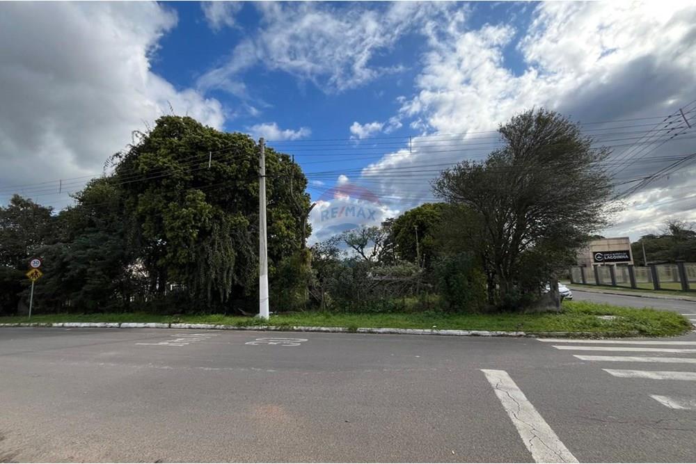 Terreno - Venda - Gravataí , Rio Grande do Sul - IMG-20250811-WA0435.jpg - 610161032-36