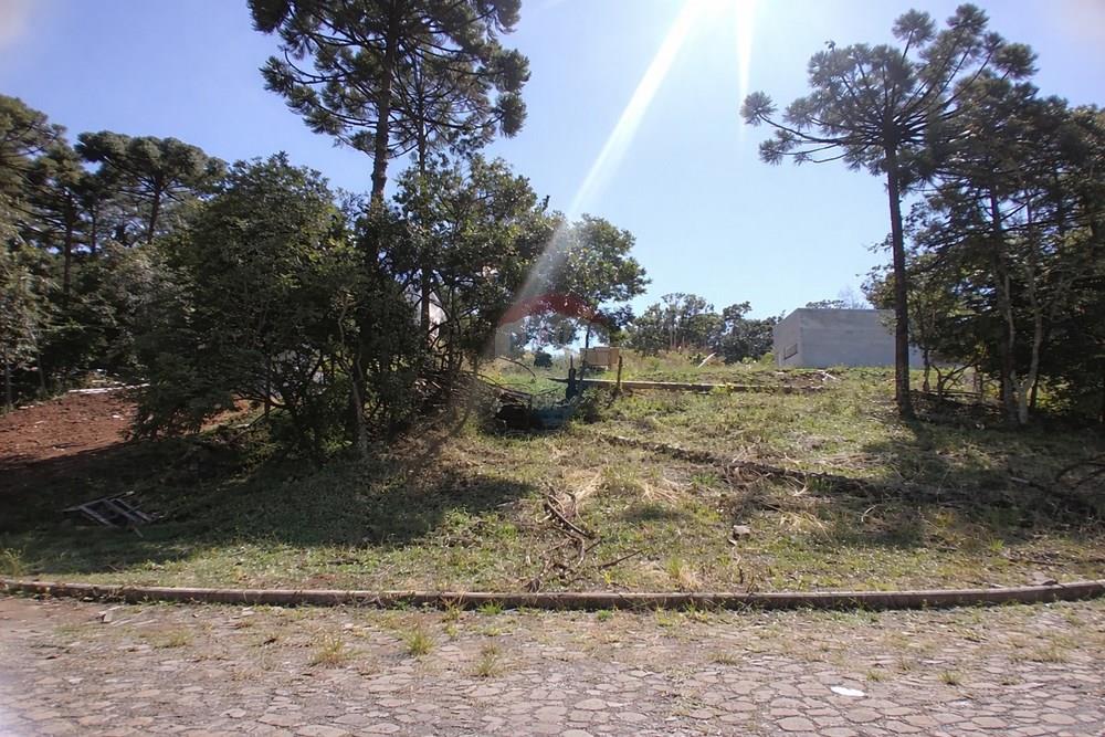 Terreno - Venda - Erechim , Rio Grande do Sul - ChatGPT Image 20 de mar. de 2026, 14_16_13.jpg - Fachada - 612761027-29
