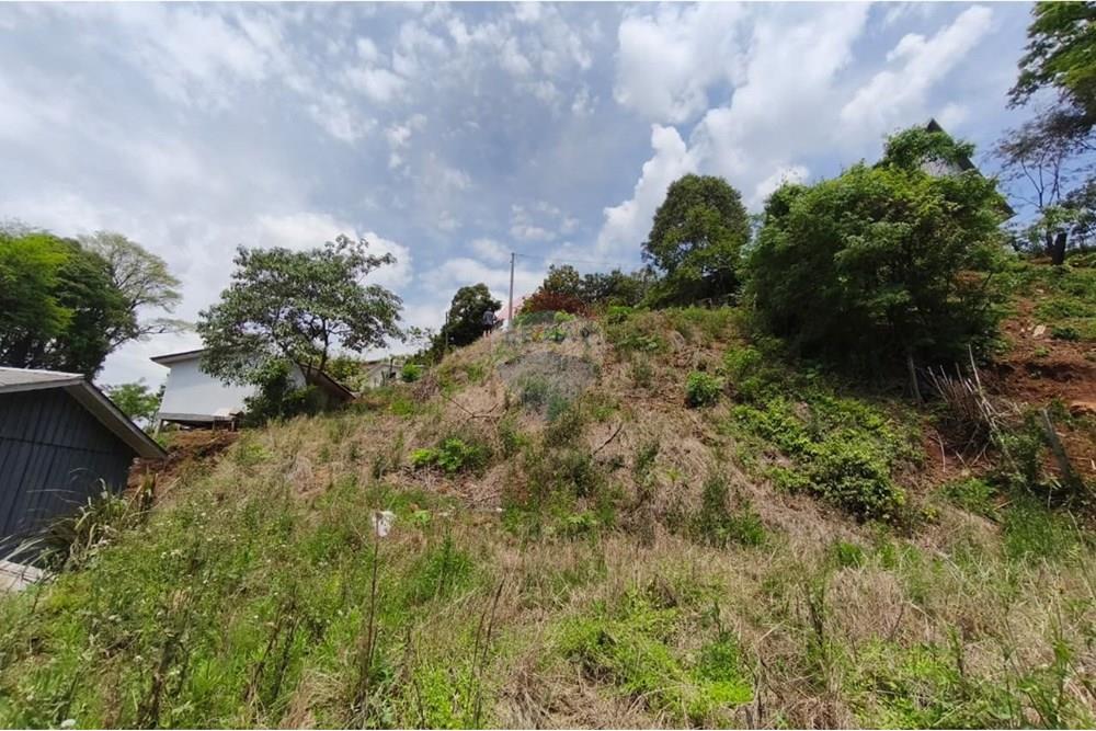 Terreno - Venda - São Valentim , Rio Grande do Sul - WhatsApp Image 2025-10-11 at 13.51.06 (3).jpeg - Fachada - 612761006-54