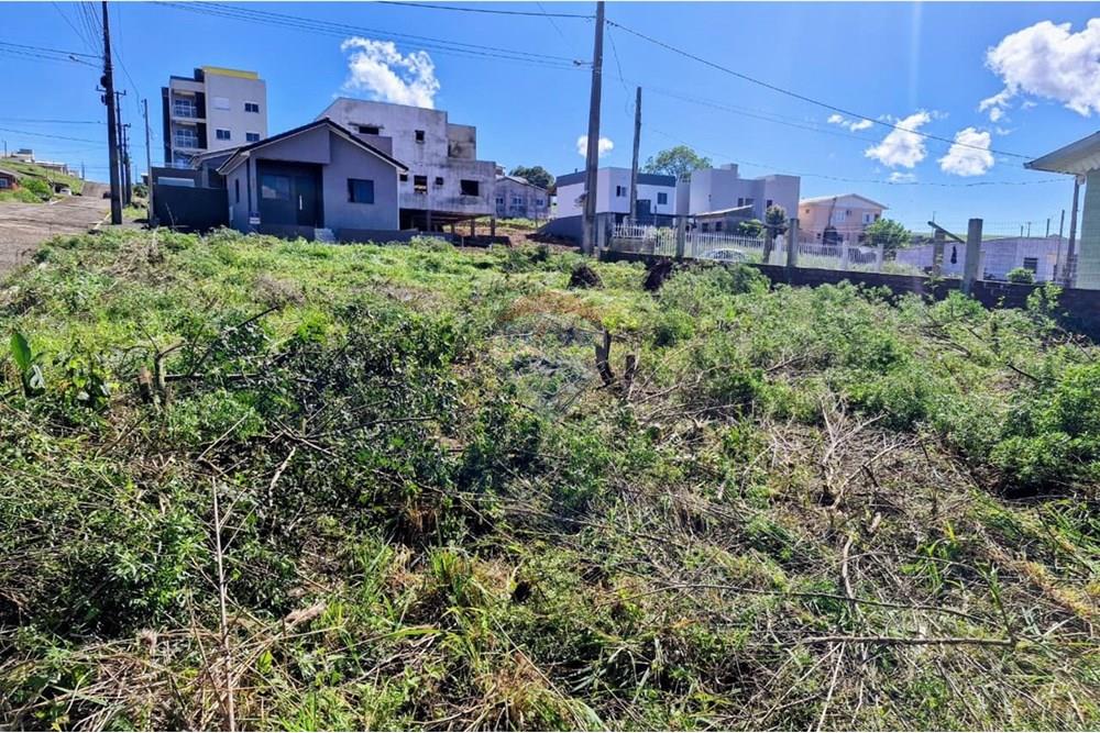 Terreno - Venda - Trindade do Sul , Rio Grande do Sul - IMG-20250923-WA0052.jpg - 610231029-120