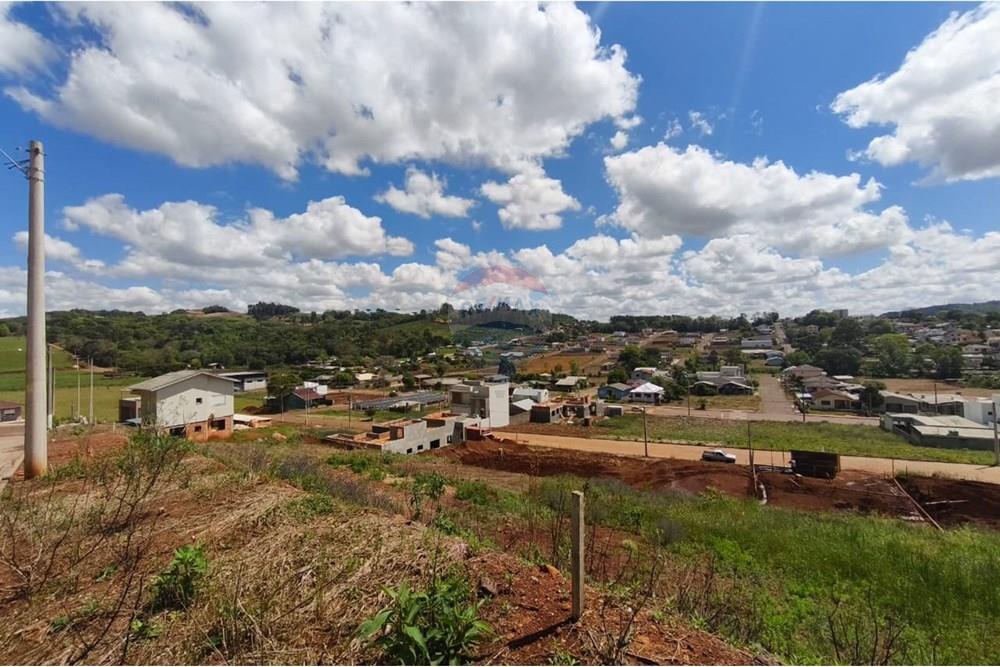 Terreno - Venda - Barão de Cotegipe , Rio Grande do Sul - Imagem do WhatsApp de 2025-10-10 à(s) 15.11.08_a61c5a08.jpg - 612761047-5