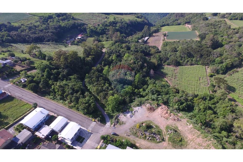 Terreno - Venda - Nova Pádua , Rio Grande do Sul - DJI_00431.jpg - 612551039-219