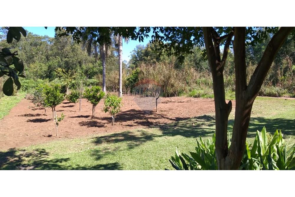 Chácara / Sítio / Fazenda - Venda - Brochier , Rio Grande do Sul - foto 14.jpg - 610091003-74