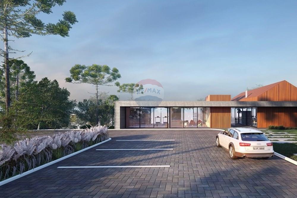 Terreno - Venda - São Francisco de Paula , Rio Grande do Sul - WhatsApp Image 2024-07-30 at 15.33.18.jpeg - 610131041-83