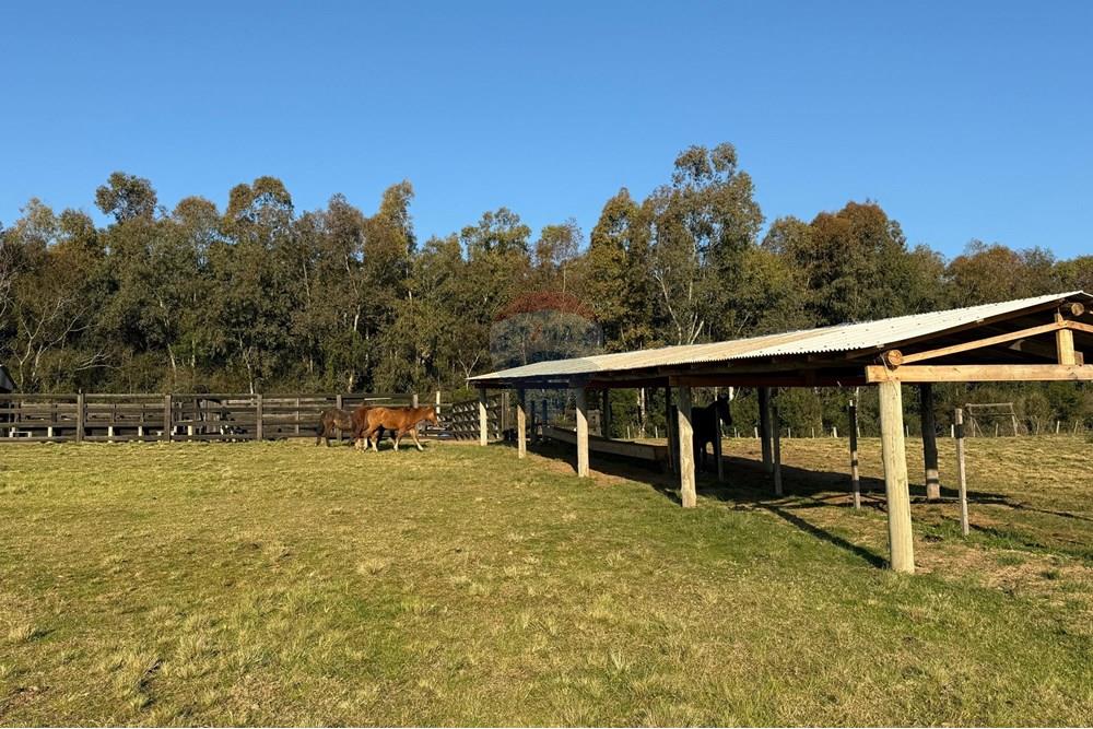 Chácara / Sítio / Fazenda - Venda - São Gabriel , Rio Grande do Sul - 66dcf9ad-ddfb-4cc4-95da-046a6090fa3d.jpeg - 612631037-9