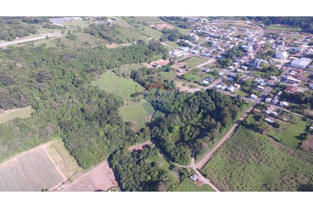 Terreno - Venda - Nova Pádua , Rio Grande do Sul - DJI_00551.jpg - 612551039-219