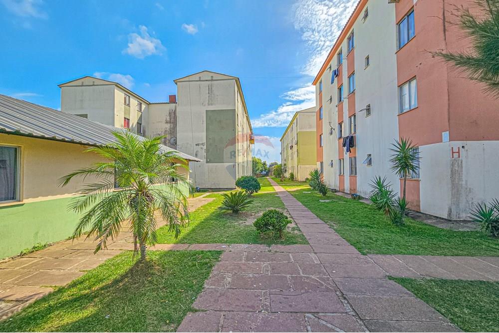 Apartamento - Venda - São Leopoldo , Rio Grande do Sul - Cópia de 20250707_163050 (1) (4).jpg - 610411026-63