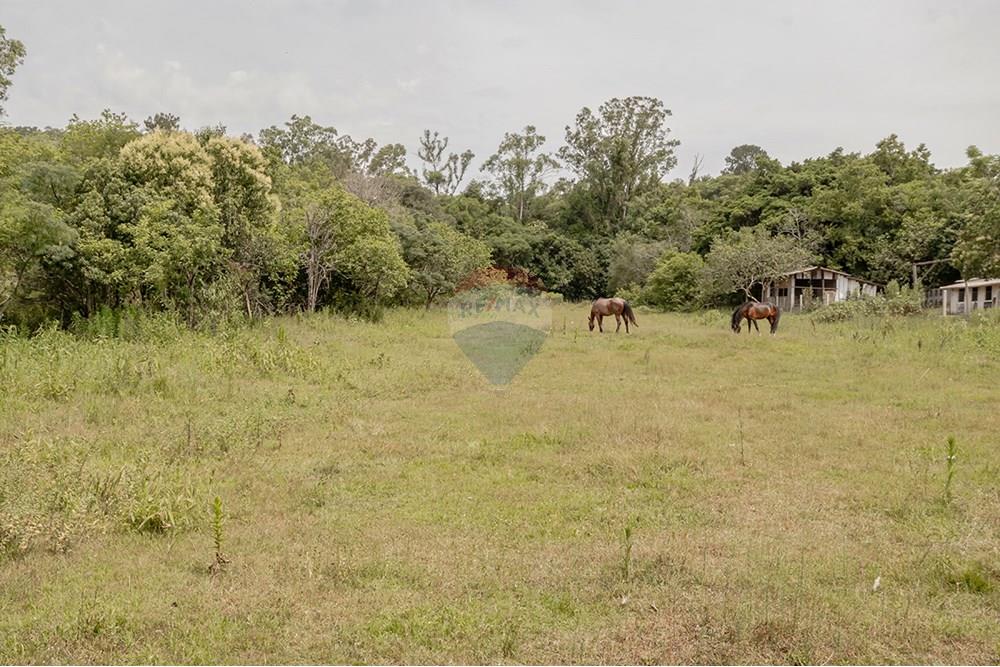 Terreno - Venda - Porto Alegre , Rio Grande do Sul - 0805-272 (3).jpg - 612521075-18