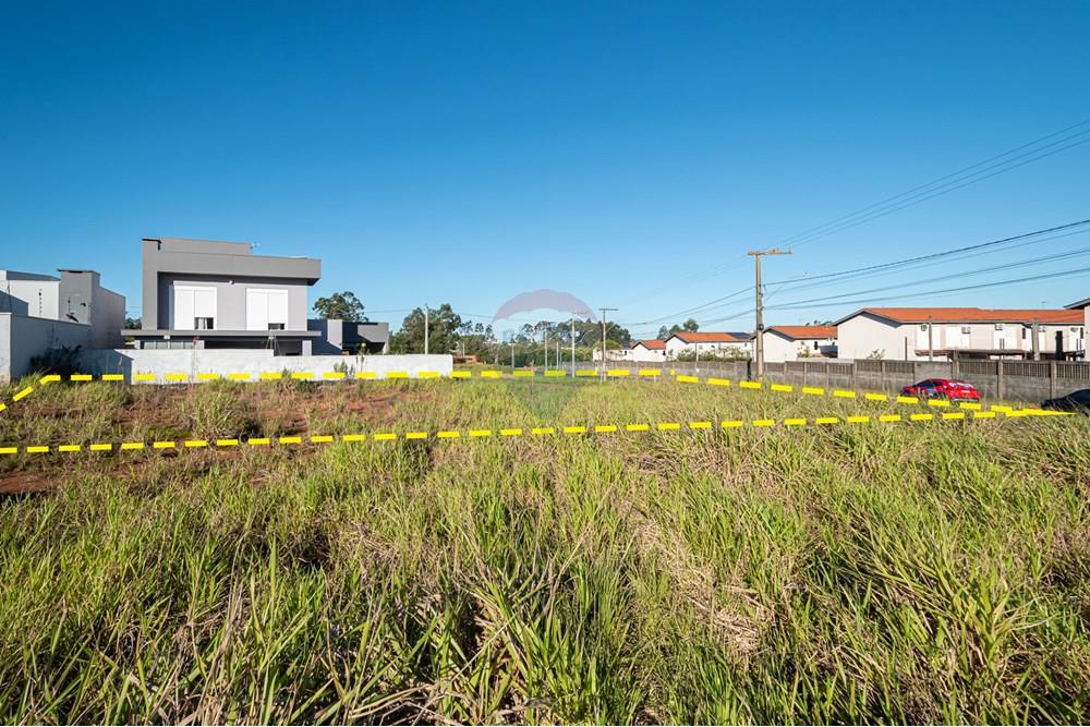 Terreno - Venda - Novo Hamburgo , Rio Grande do Sul - DSC_3186-7210-7211.jpg - 610261015-43