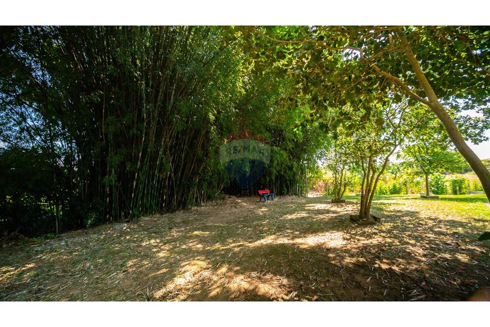 Apartamento - Venda - São Leopoldo , Rio Grande do Sul - DSC03889.jpg - 610411012-336