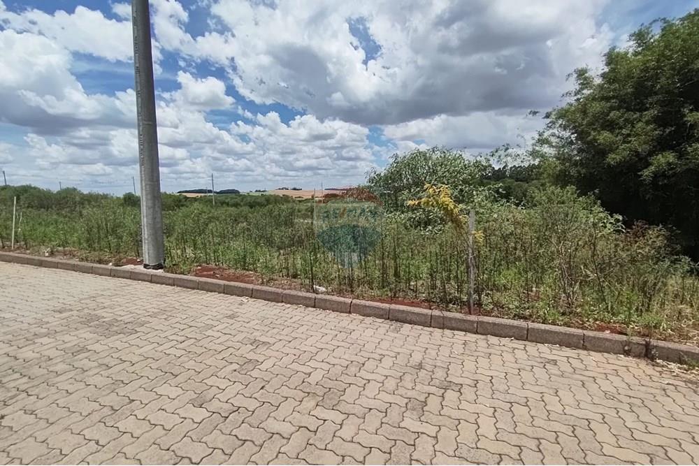 Terreno - Venda - Erechim , Rio Grande do Sul - WhatsApp Image 2025-12-03 at 09.48.08 (1).jpeg - 612761006-64