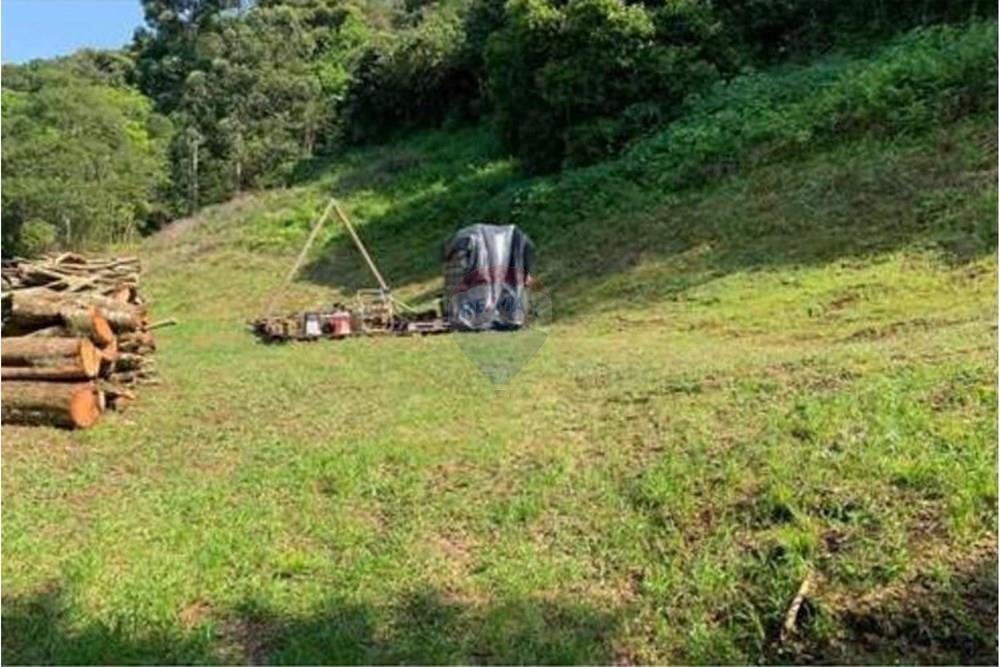Chácara / Sítio / Fazenda - Venda - Santa Cruz do Sul , Rio Grande do Sul - WhatsApp Image 2025-11-07 at 11.04.18 (3).jpeg - 612741028-61