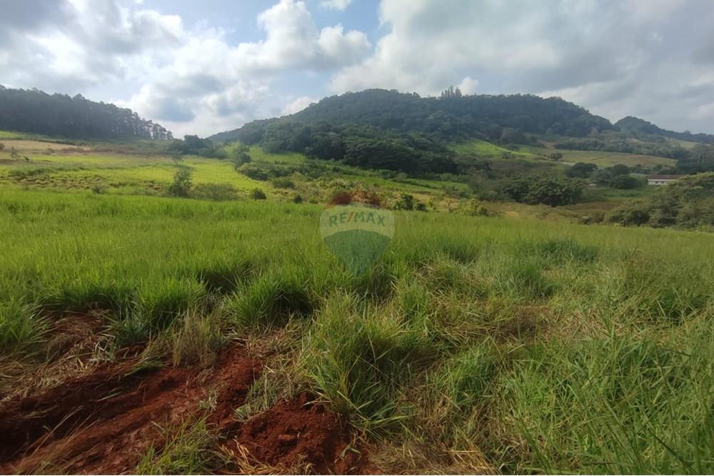 Residential - قطعة أرض - Capela de Santana , Rio Grande do Sul - BR - WhatsApp Image 2025-06-30 at 08.57.39.jpeg - 610461003-24